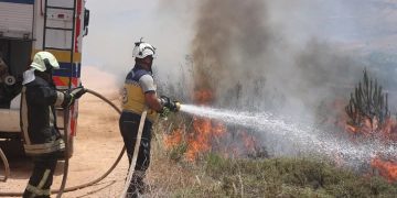 اندلاع حريق في غابة حراجية غربي سوريا