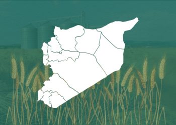 200 ألف طن قمح في خزينة سوريا