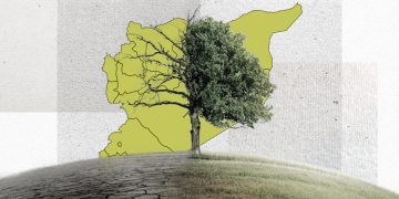 التعافي البيئي في سوريا.. عوامل مركبة وتقييم للأضرار والكلفة