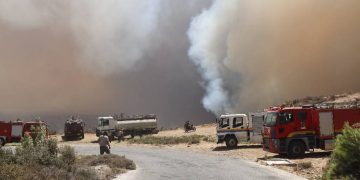 السيطرة على تمدد حرائق الغابات الحراجية بريفي اللاذقية وحماة 