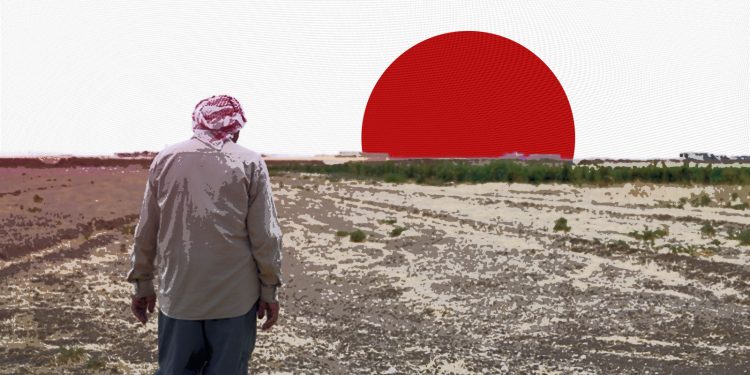 الجفاف يؤثر على الأمن الغذائي في سوريا