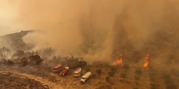 استمرار حرائق الغابات بريف اللاذقية ووفاة عنصر بالدفاع المدني