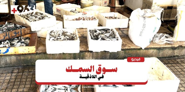 اللاذقية.. السمك في متناول الجميع