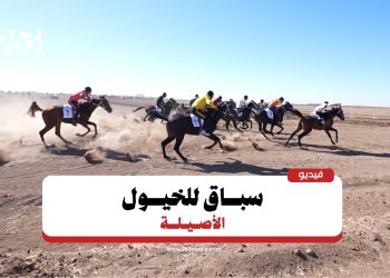 72 خيلاً في منافسات مهرجان الجزيرة 2