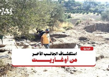 استكشاف تاريخ أوغاريت.. انطلاق البعثة الإيطالية – السورية بريف اللاذقية