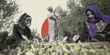 موسم الزيتون في درعا عام استثنائي من الخسارة والعجز