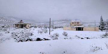 تحذيرات من تأثير موجة صقيع على المزروعات في سوريا