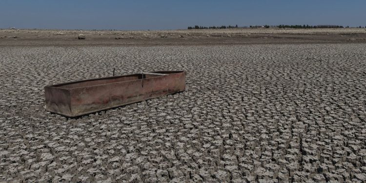 تقرير: جفاف 2025 دمّر الزراعة وعمّق الأزمة في ريف دمشق
