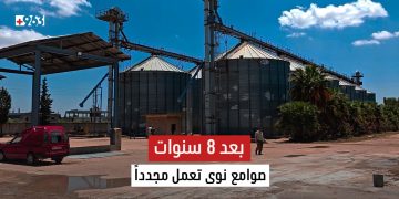 بعد انقطاع دام 8 سنوات.. صوامع نوى بريف درعا تستأنف استلام القمح.