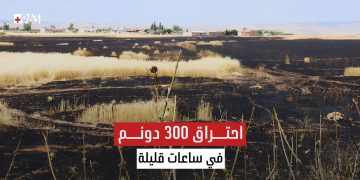 احتراق 300 دونم خلال ساعات.. النيران تلتهم مساحات واسعة من الأراضي في قرية هيمو جنوب القامشلي.